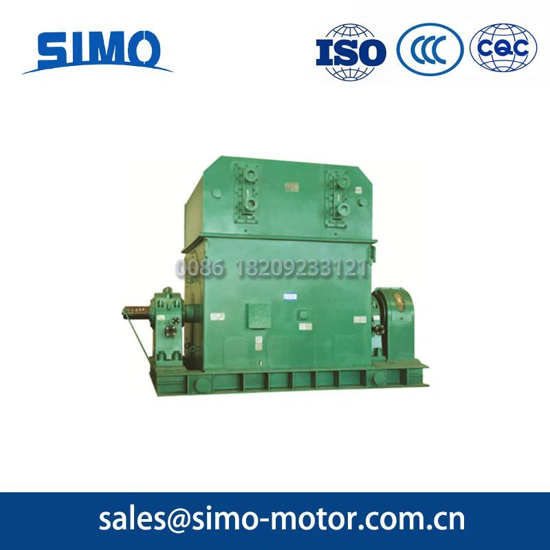 AC Three-Phase Synchronous Motor 1250KW AC Three-Phase Synchronous Motor 1250KW